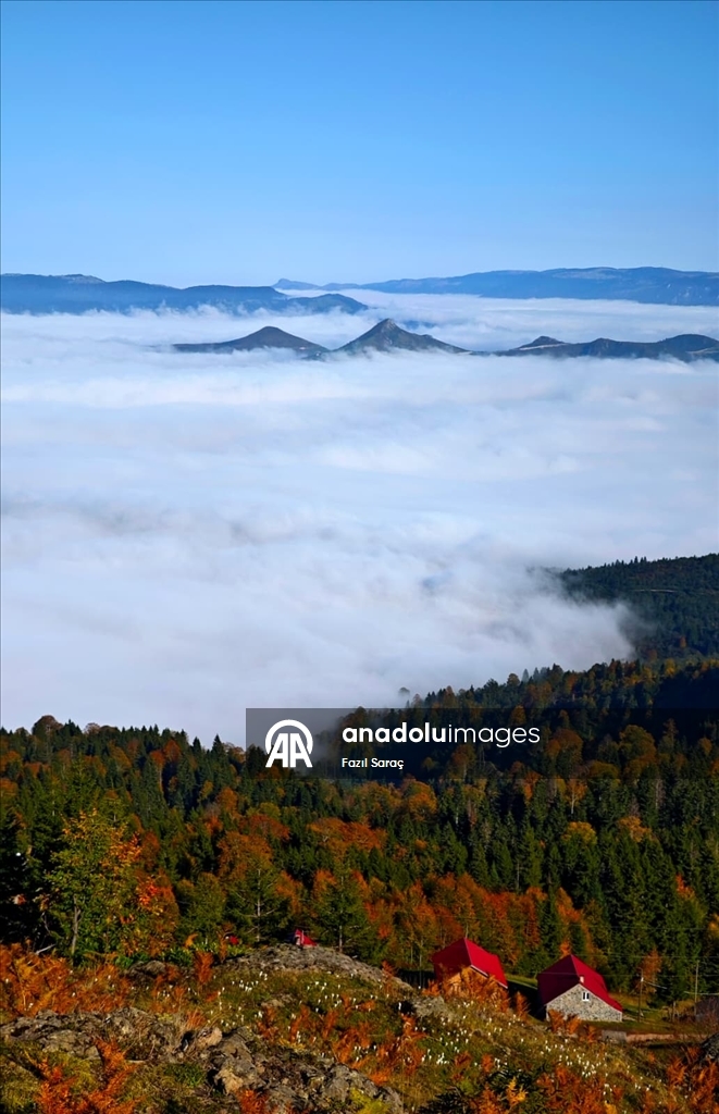 Sis Dağı sonbahar renklerine büründü 