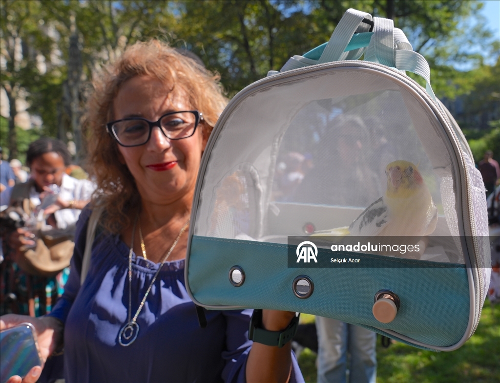 В Нью-Йорке прошла церемония благословения животных