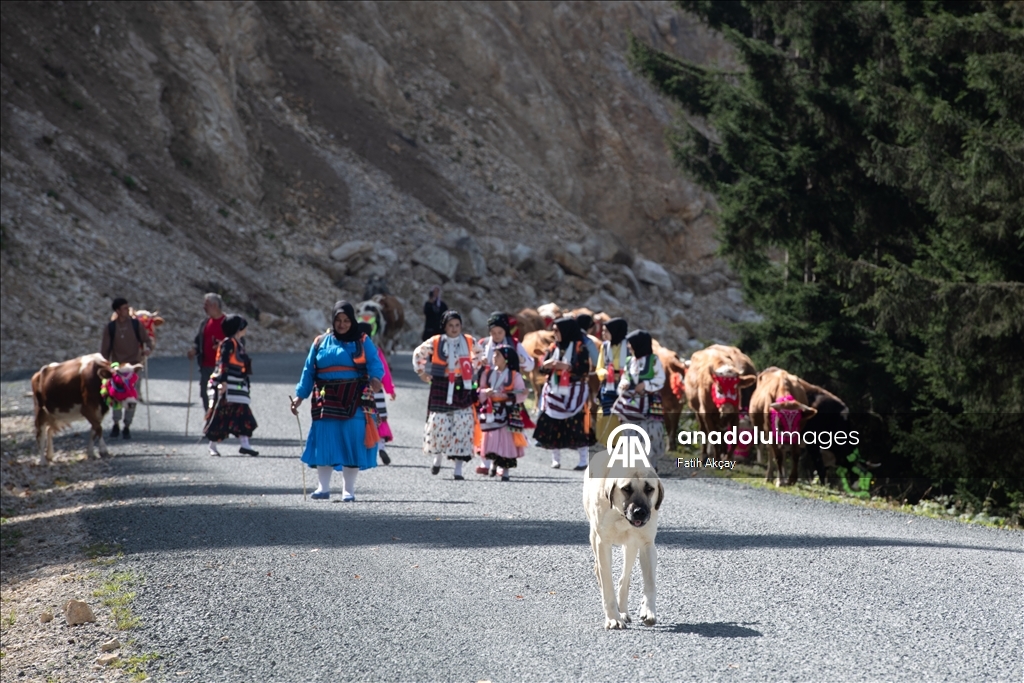 Şalpazarı’nda yayla göçü geleneği devam ediyor