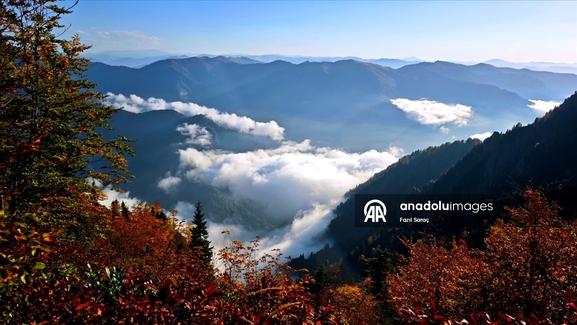 Sis Dağı sonbahar renklerine büründü 
