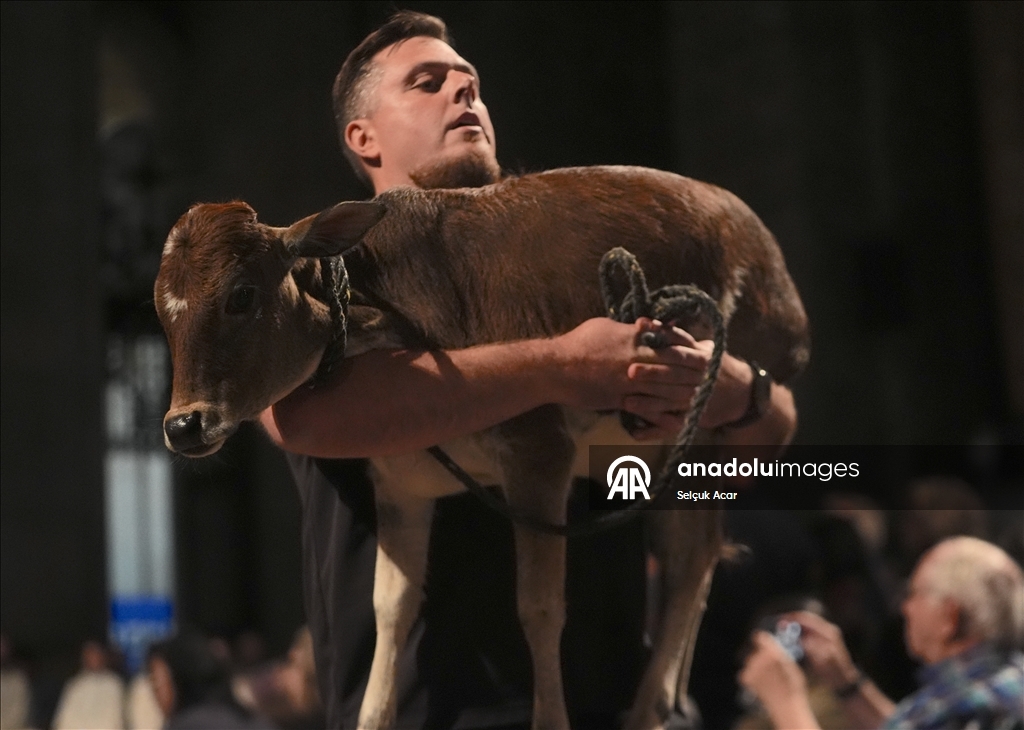 В Нью-Йорке прошла церемония благословения животных