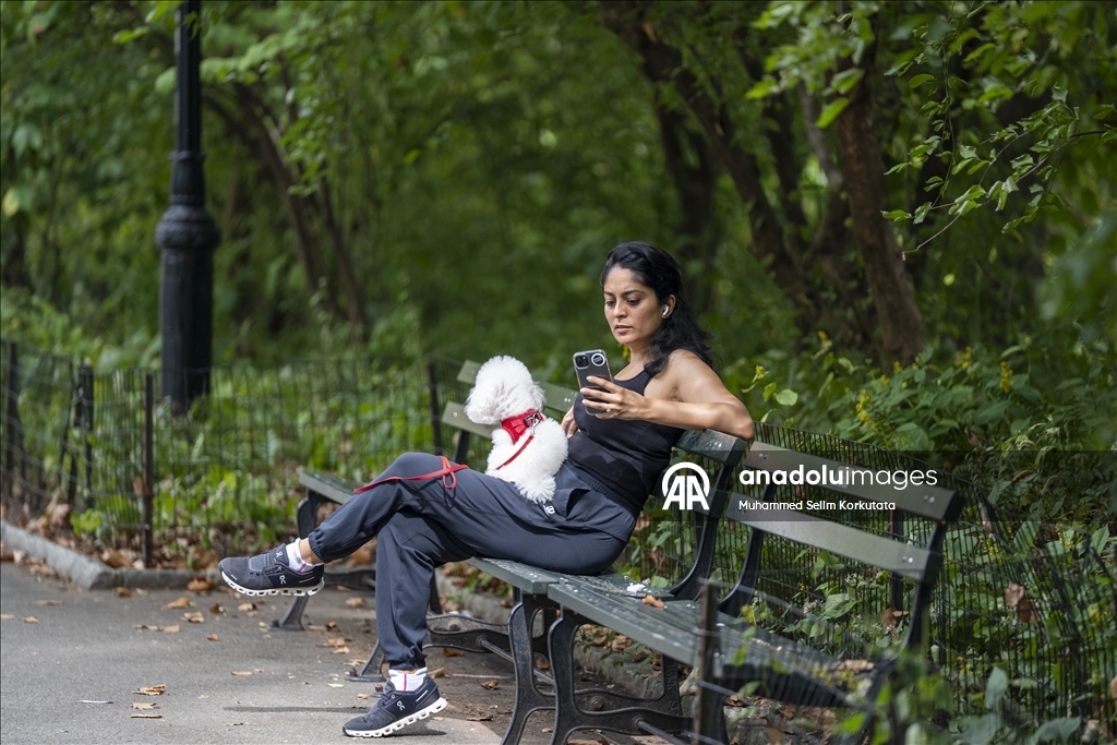 ABD'de günlük yaşam