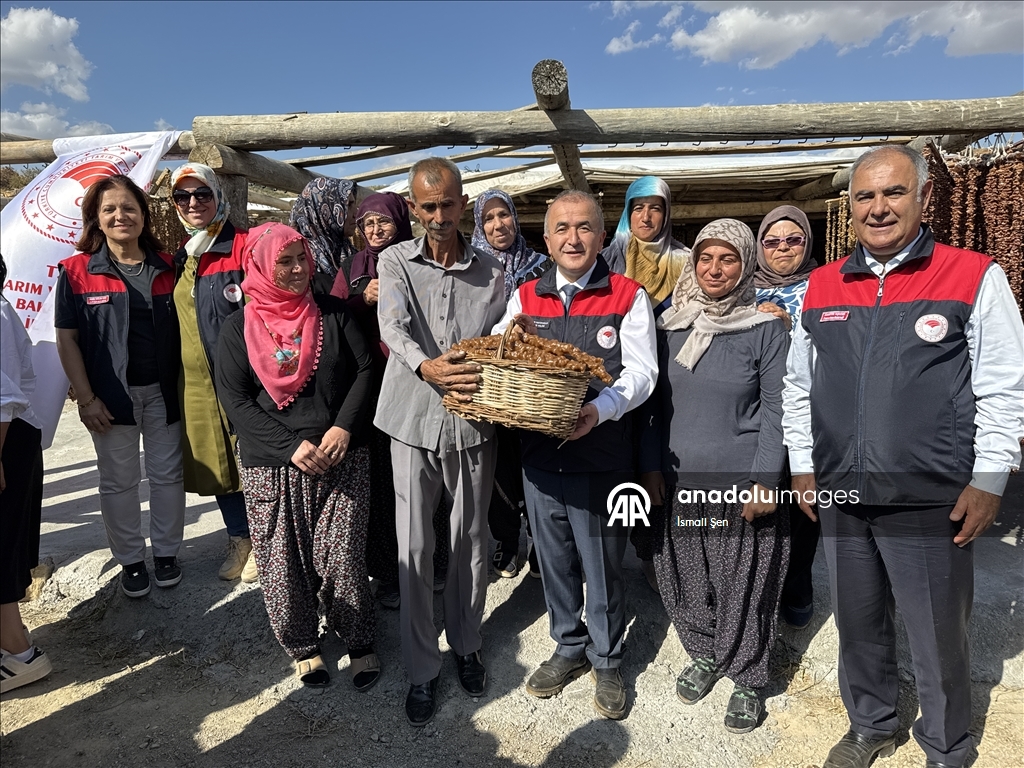 Çêkirina "orcik"ên tahma tescîlkirî ya Elezîzê dest pê kir