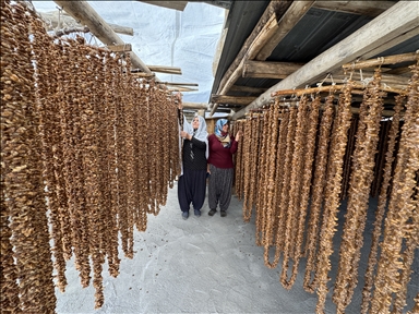 Çêkirina "orcik"ên tahma tescîlkirî ya Elezîzê dest pê kir