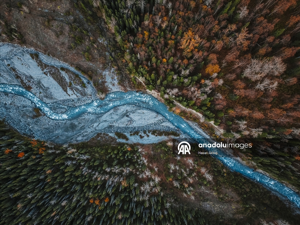 Alaska’da Sonbahar Büyüsü 