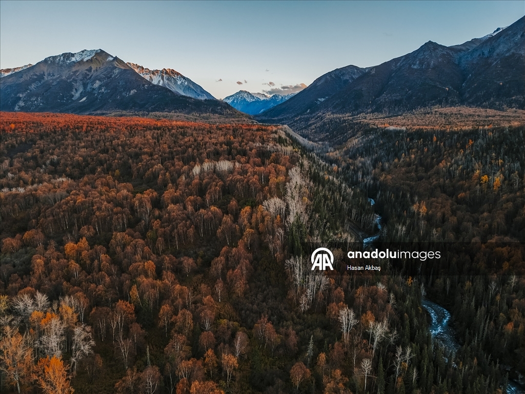 Alaska’da Sonbahar Büyüsü 