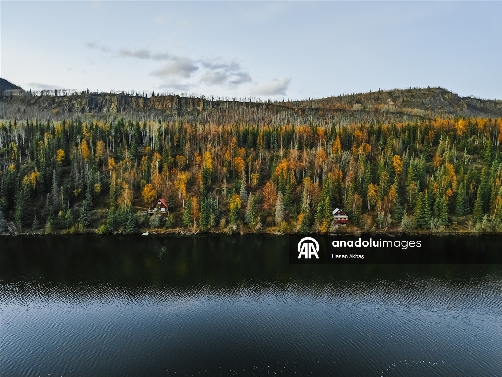 Alaska’da Sonbahar Büyüsü 