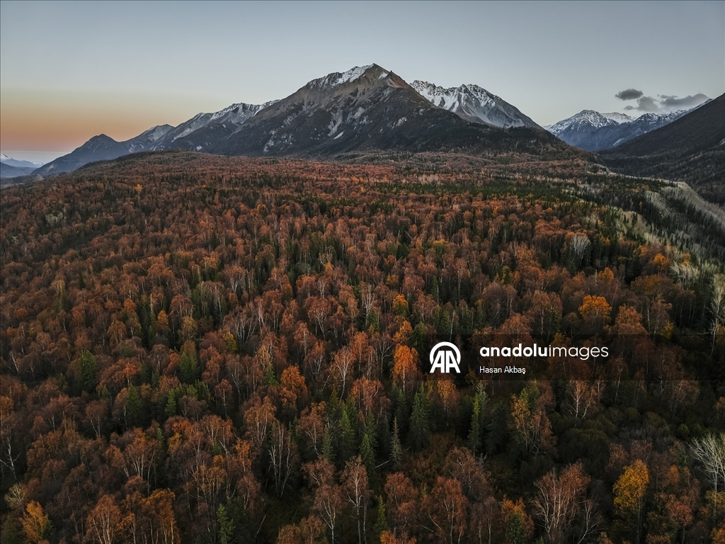 Alaska’da Sonbahar Büyüsü 