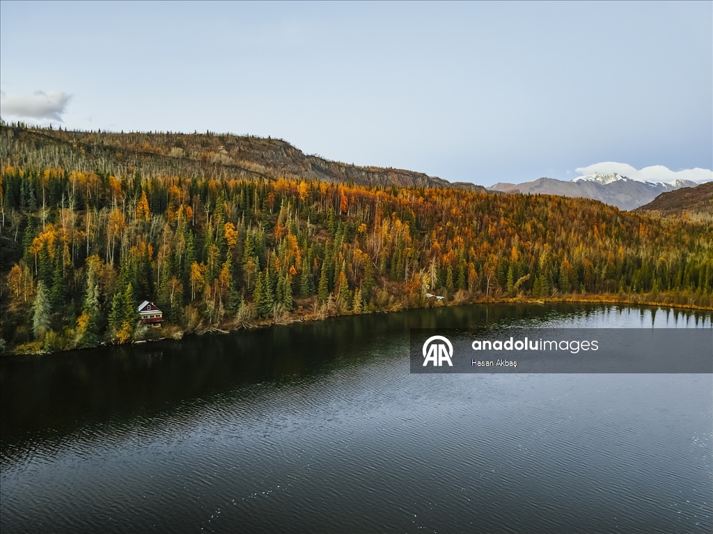 Alaska’da Sonbahar Büyüsü 