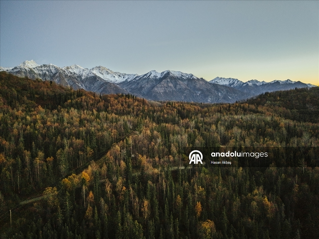 Alaska’da Sonbahar Büyüsü 