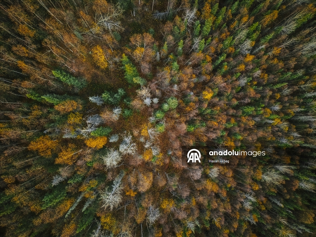 Alaska’da Sonbahar Büyüsü 