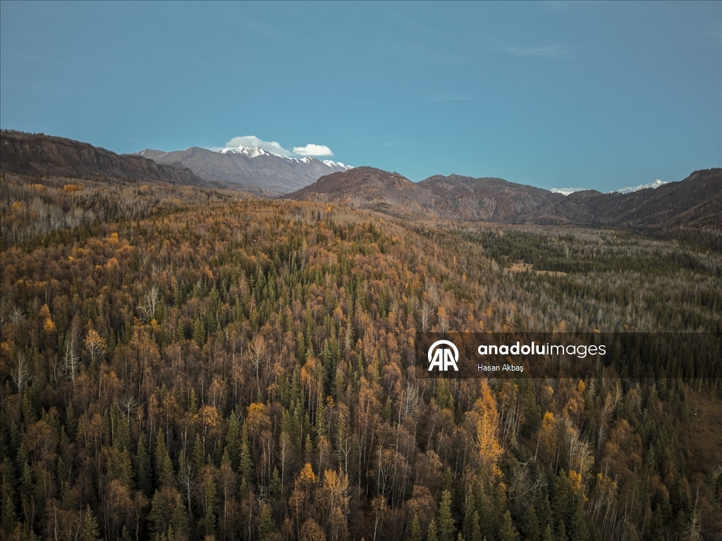 Alaska’da Sonbahar Büyüsü 