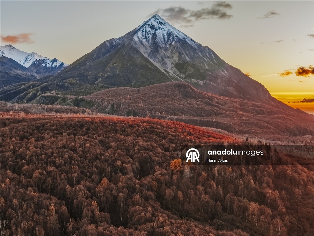 Alaska’da Sonbahar Büyüsü 