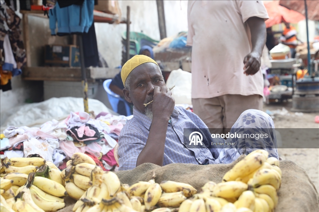 Afrika'da yeniden doğuşun hikayesi: Somali