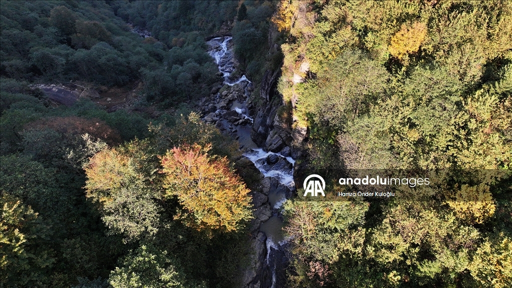 Vadiler arasındaki "Uçarsu Şelalesi" alternatif turizm rotası olmaya hazırlanıyor