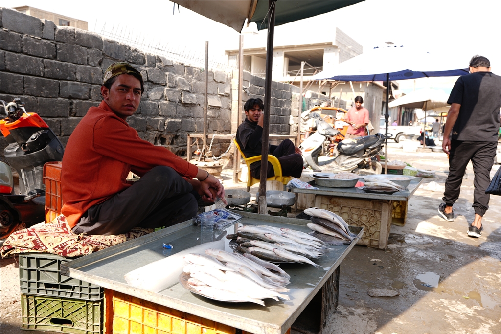 Basra'da balık pazarı