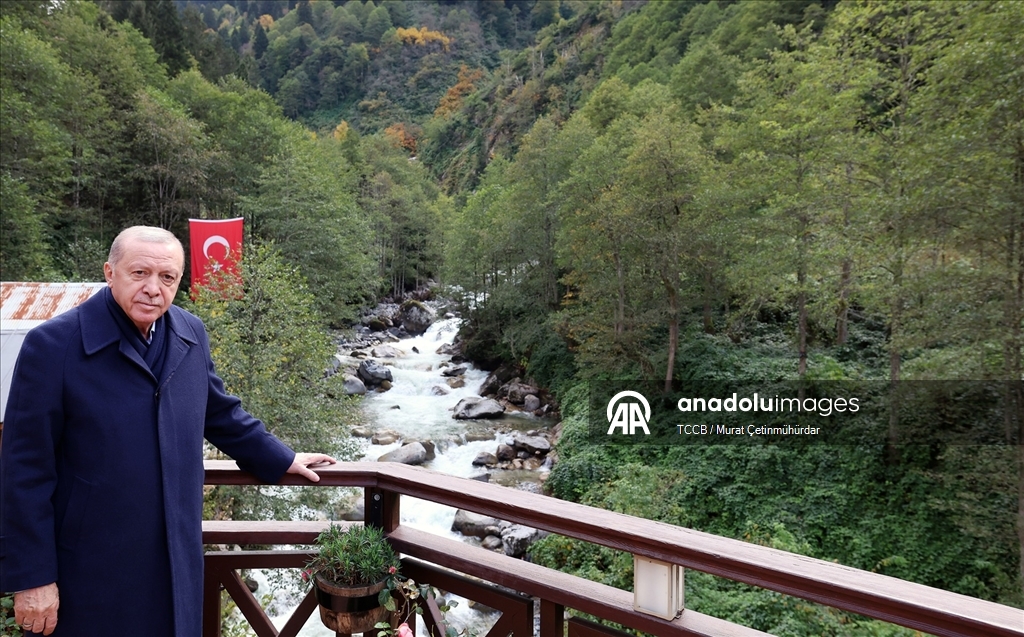Cumhurbaşkanı Recep Tayyip Erdoğan