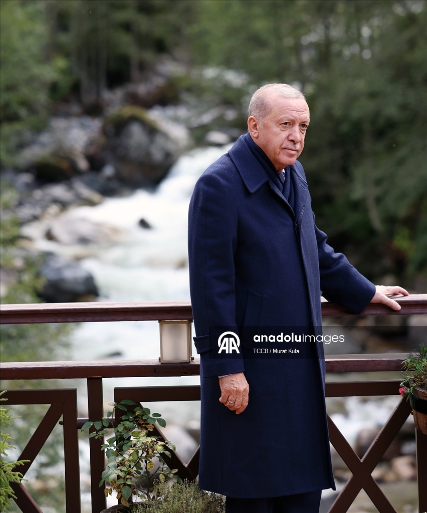 Cumhurbaşkanı Recep Tayyip Erdoğan