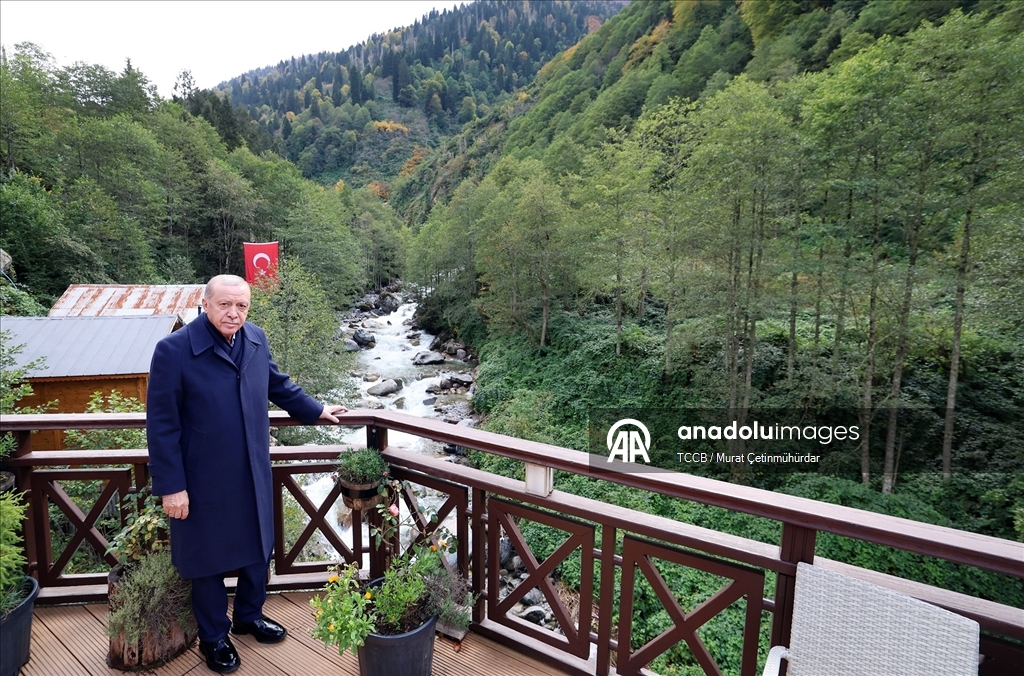 Cumhurbaşkanı Recep Tayyip Erdoğan