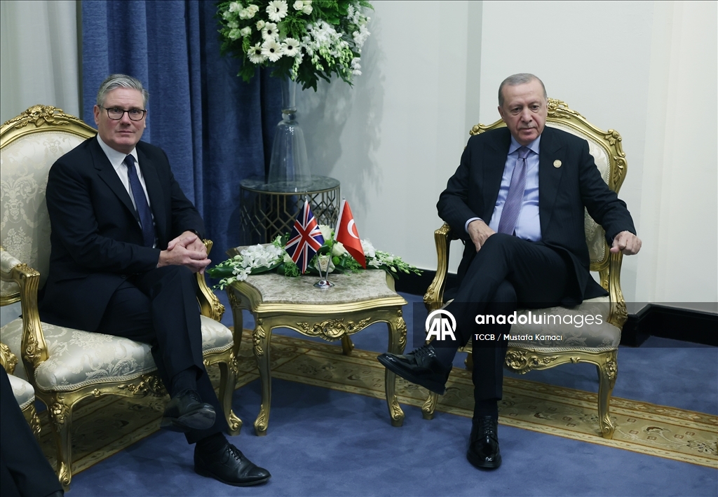 Cumhurbaşkanı Recep Tayyip Erdoğan, Mısır'da