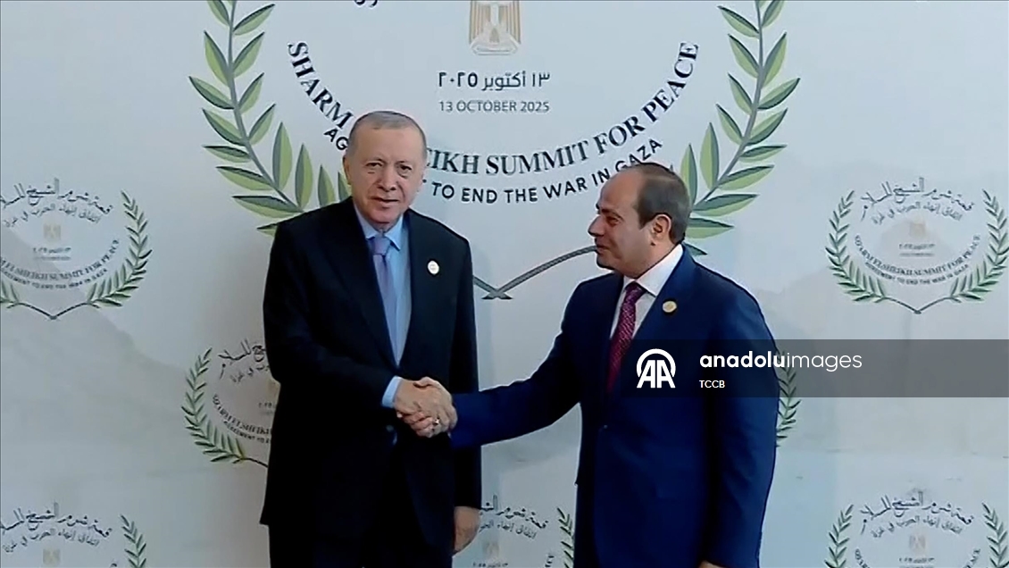 Cumhurbaşkanı Recep Tayyip Erdoğan, Mısır'da