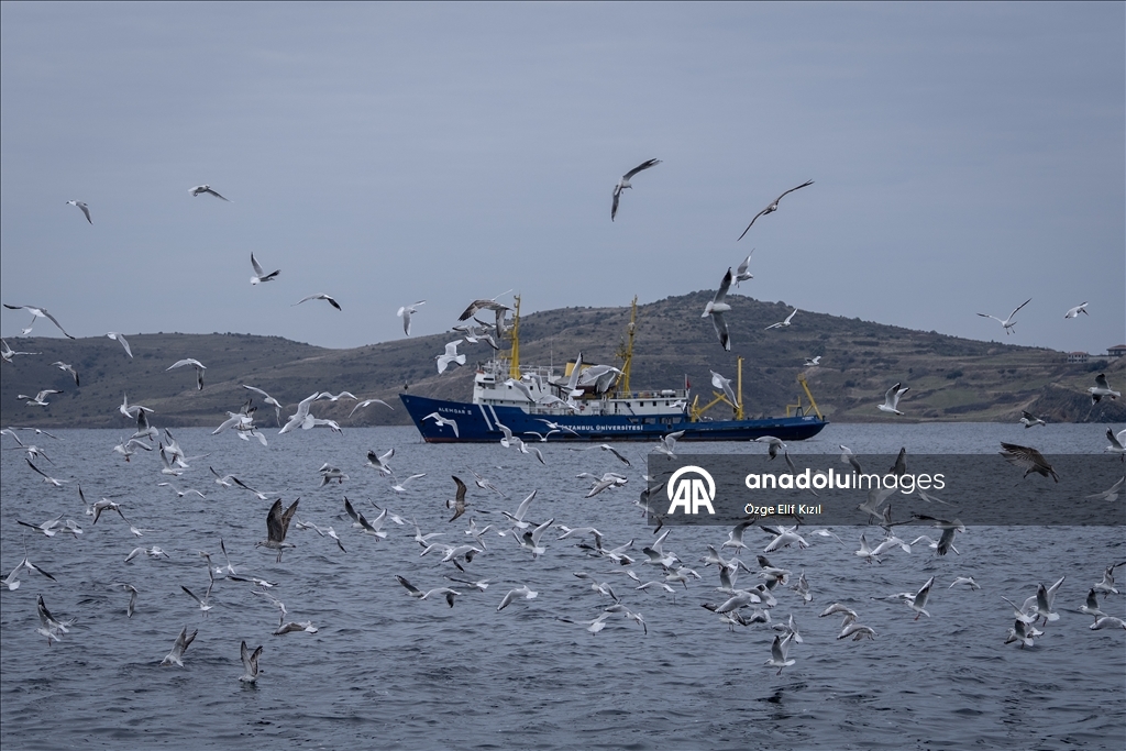 Scientific expedition has begun in the Sea of Marmara