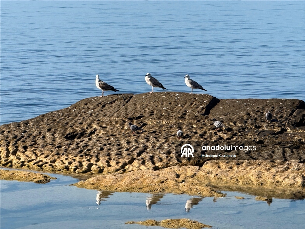The Caspian Sea is facing declining water levels