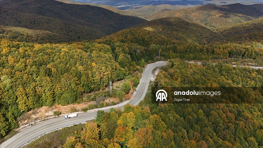 Istranca forests painted in the colors of autumn