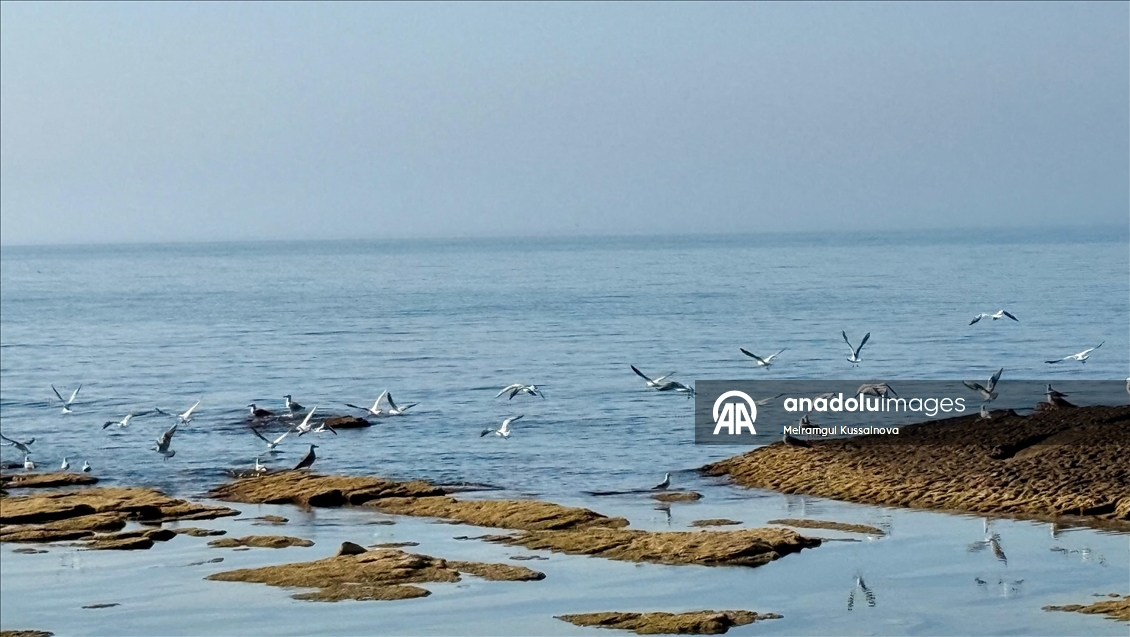 The Caspian Sea is facing declining water levels