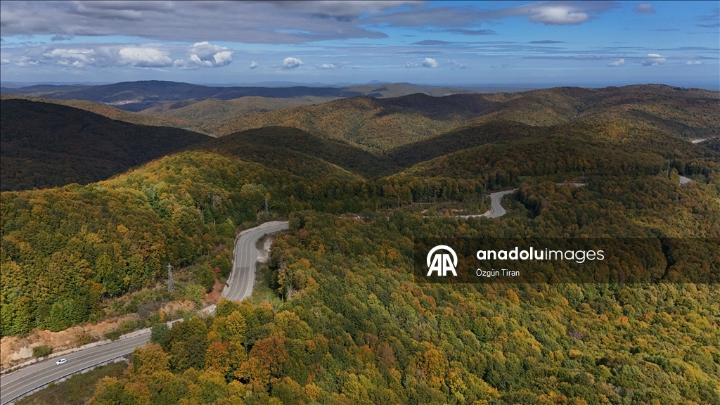 Istranca forests painted in the colors of autumn