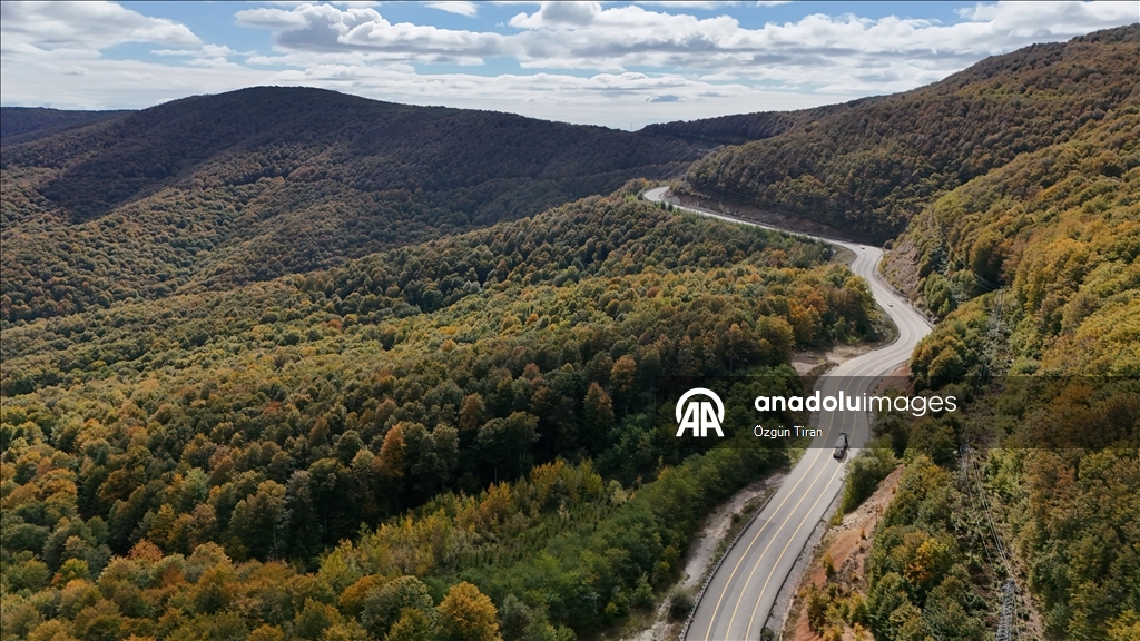 Istranca forests painted in the colors of autumn