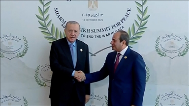 Cumhurbaşkanı Recep Tayyip Erdoğan, Mısır'da