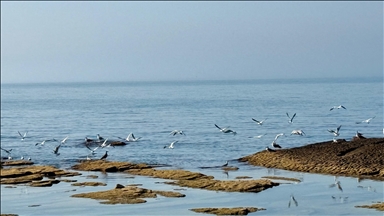 The Caspian Sea is facing declining water levels