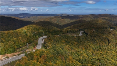  Istranca forests painted in the colors of autumn