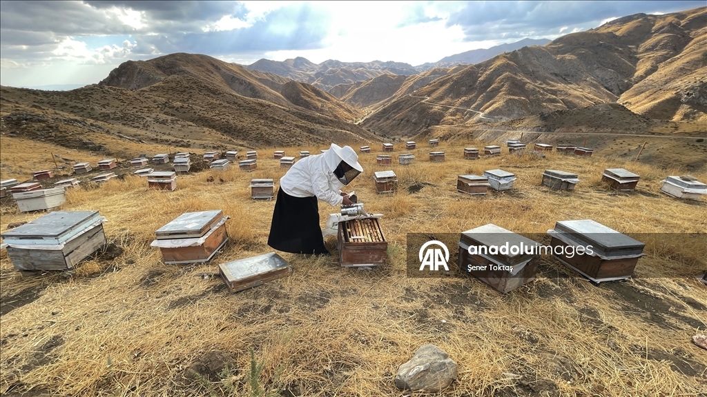 Jina Bidlisî bi 30 kewaran dest bi mêşvaniyê kir, niha salane 4 ton hingiv radike