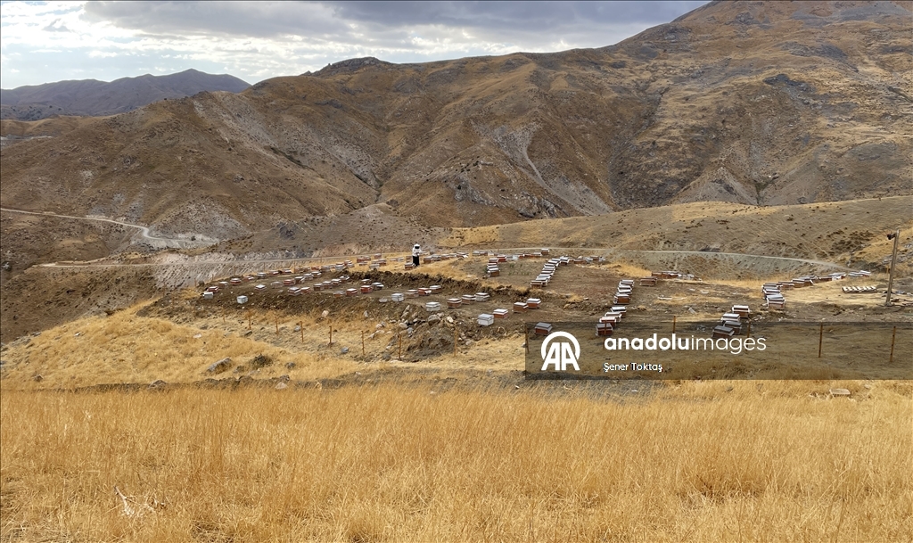 Jina Bidlisî bi 30 kewaran dest bi mêşvaniyê kir, niha salane 4 ton hingiv radike