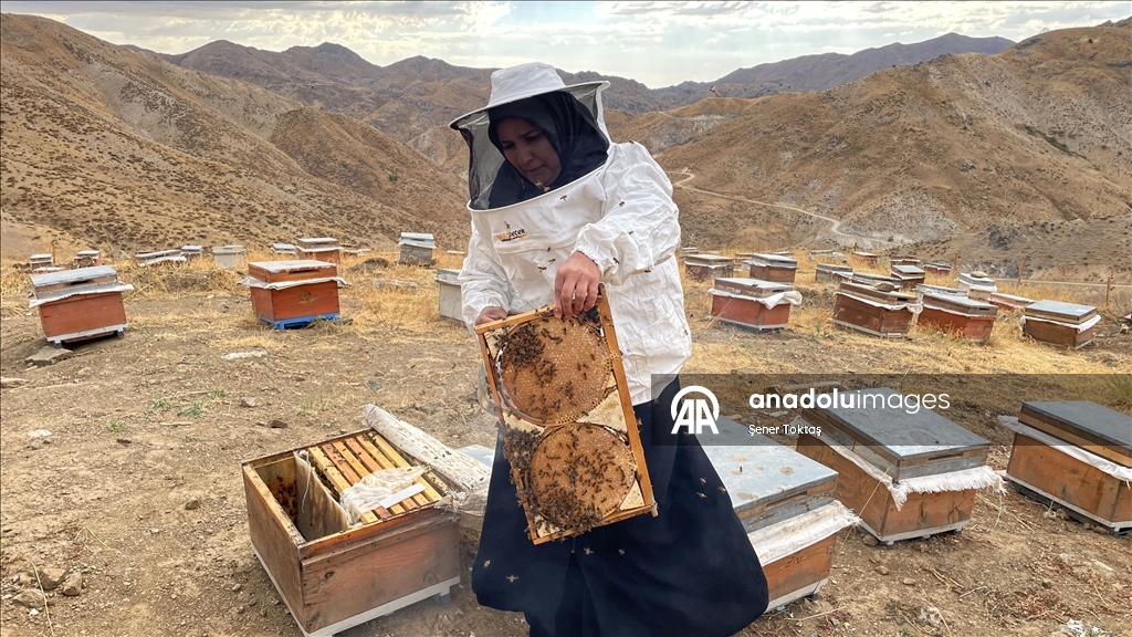 Jina Bidlisî bi 30 kewaran dest bi mêşvaniyê kir, niha salane 4 ton hingiv radike