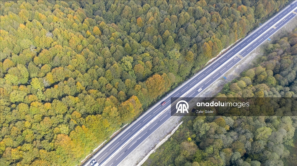 Bolu'dan geçen sürücüler sonbahar renkleri arasında yolculuk yapıyor