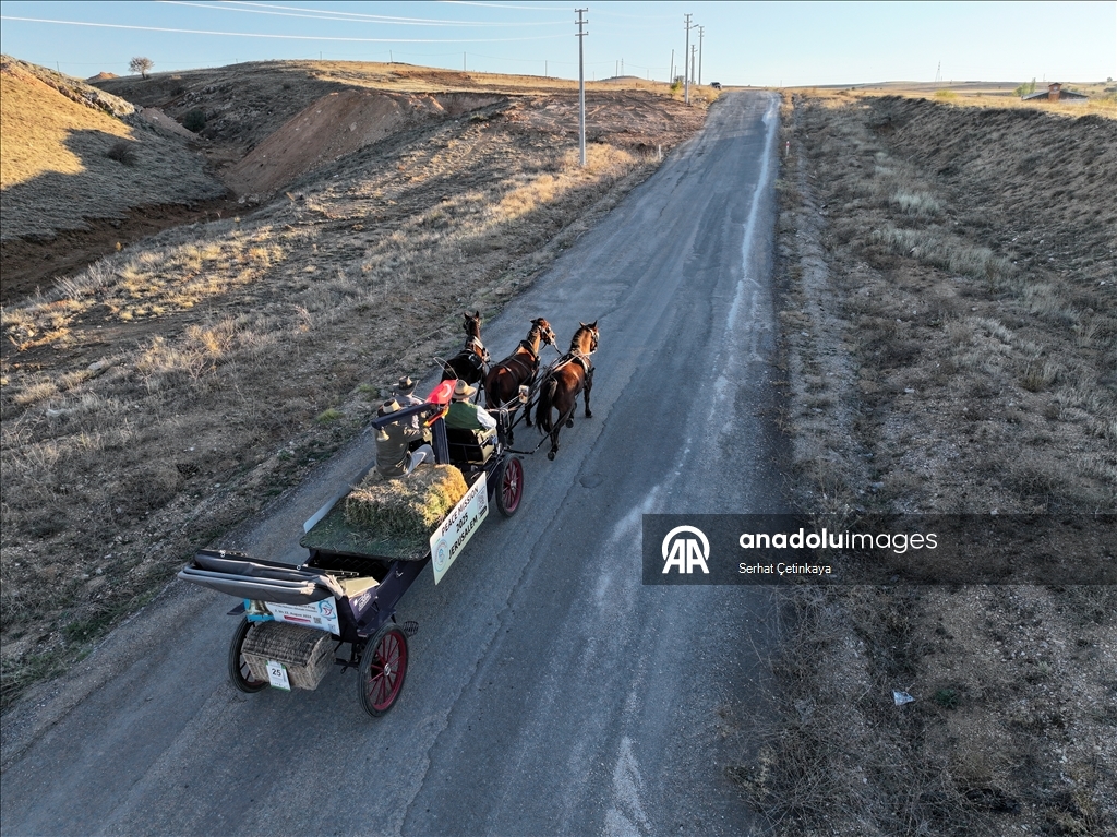Almanya'dan Kudüs'e faytonla giden aktivistler Gazze'deki ateşkesten mutlu