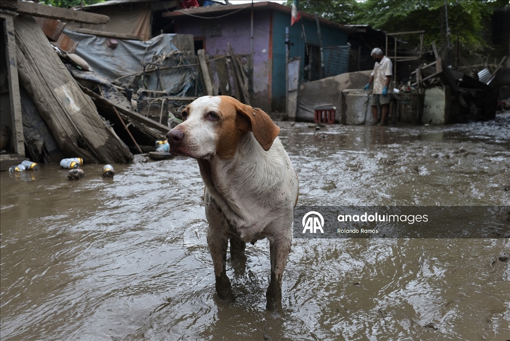 Aftermath of torrential rains in Poza Rica, Mexico