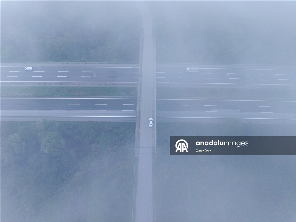 Fog settles over in Tukiye’s Duzce