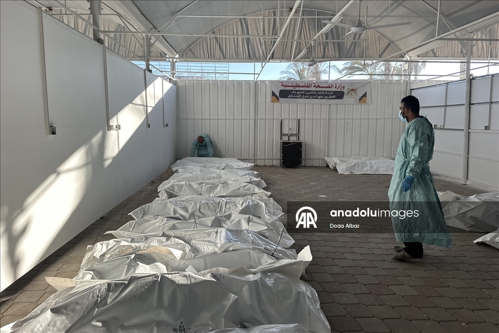 Israel hands over bodies of Palestinians to Red Cross for identification in Gaza