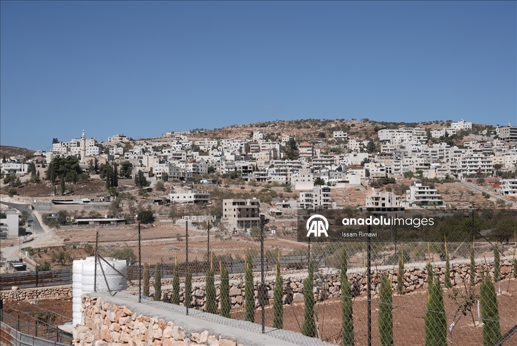 برقا الفلسطينية.. جني الزيتون تحت اعتداءات المستوطنين