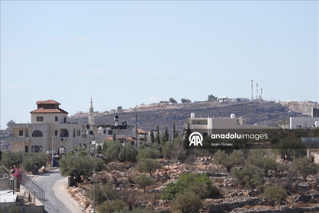 برقا الفلسطينية.. جني الزيتون تحت اعتداءات المستوطنين