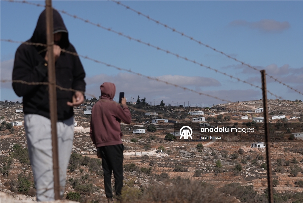 برقا الفلسطينية.. جني الزيتون تحت اعتداءات المستوطنين