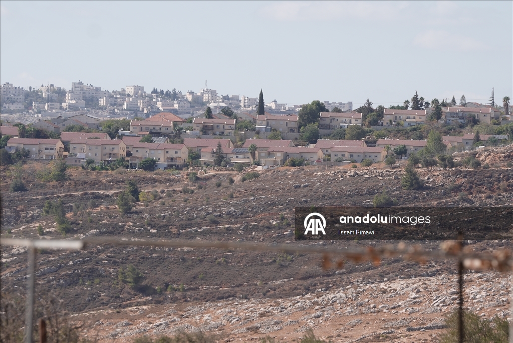 برقا الفلسطينية.. جني الزيتون تحت اعتداءات المستوطنين