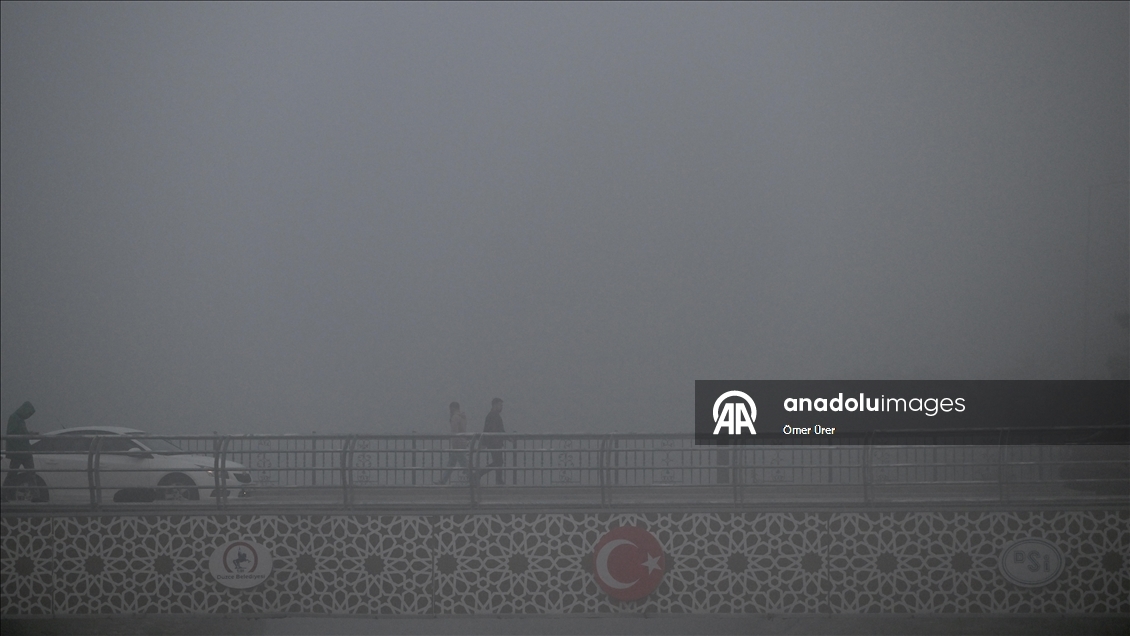 Eskişehir ve Düzce'de sis etkili oldu