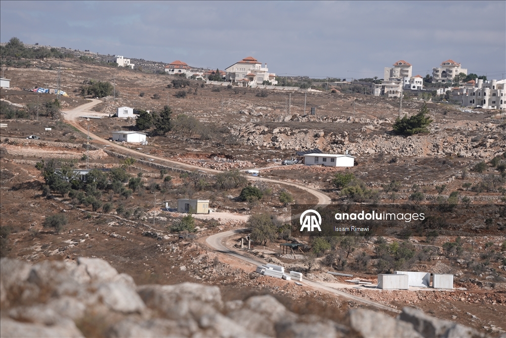 برقا الفلسطينية.. جني الزيتون تحت اعتداءات المستوطنين
