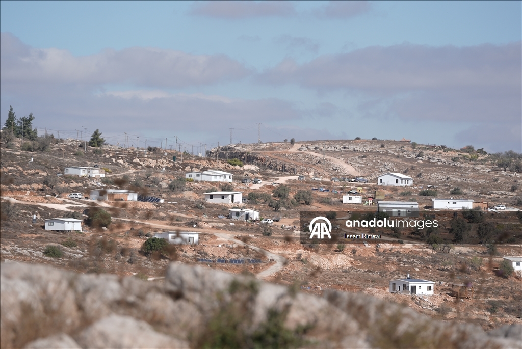 برقا الفلسطينية.. جني الزيتون تحت اعتداءات المستوطنين