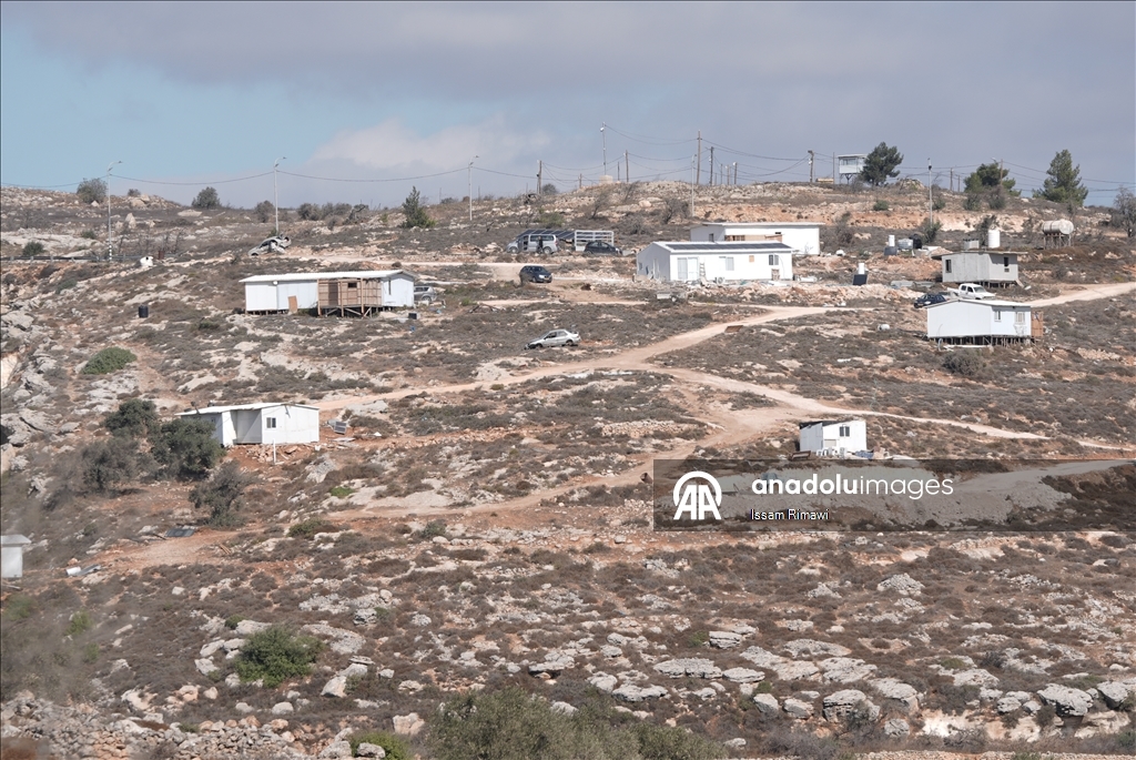 برقا الفلسطينية.. جني الزيتون تحت اعتداءات المستوطنين